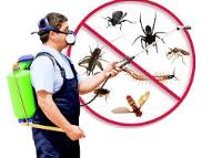 Mosquito Control FL image 9